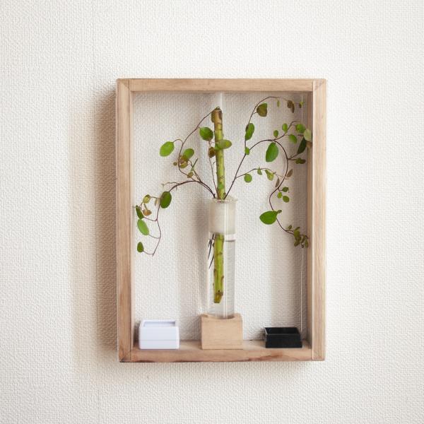 カンタンが飼育できる！　小型鳴き虫用アートフレームＤＩＹキット　ナチュラル　産卵植物付き　4582645941314　昆虫　鳴き虫　飼育セット　飼育キット　ＤＩＹ　作成キット　カンタン　クサヒバリ　ヒバリモドキ　ヤマトヒバリ　アートフレーム...