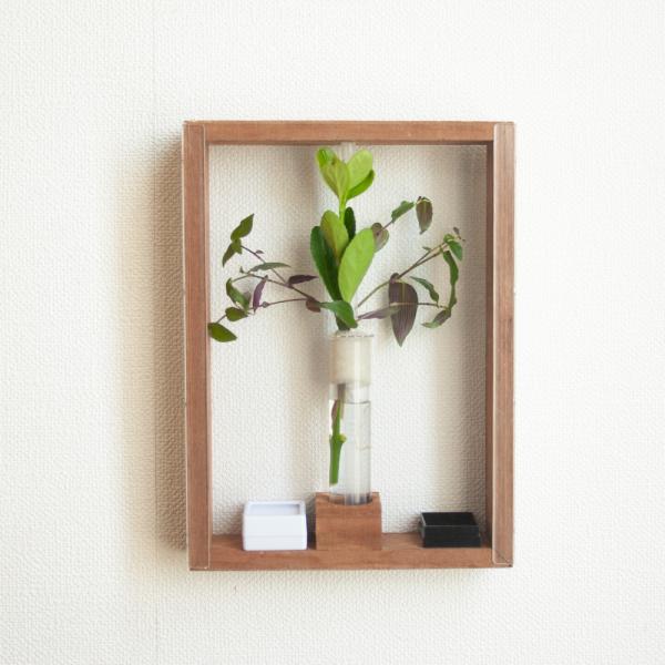 クサヒバリが飼育できる！　小型鳴き虫用アートフレームＤＩＹキット　ダークブラウン　産卵植物付き　4582645941321　昆虫　鳴き虫　飼育セット　飼育キット　ＤＩＹ　作成キット　カンタン　クサヒバリ　ヒバリモドキ　ヤマトヒバリ　アートフ...