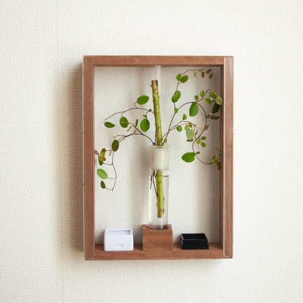 カンタンが飼育できる！　小型鳴き虫用アートフレームＤＩＹキット　ダークブラウン　産卵植物付き　4582645941321　昆虫　鳴き虫　飼育セット　飼育キット　ＤＩＹ　作成キット　カンタン　クサヒバリ　ヒバリモドキ　ヤマトヒバリ　アートフレ...