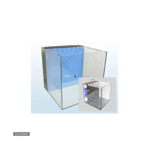 [J[@fk`rh`@lNXg@mw|ROO@ubNVR^Cv@Cgu[iROO×ROO×ROOjiṔjsEʓr@^