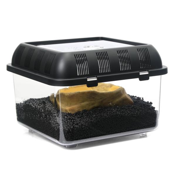 クランウェルツノガエル飼育入門セット　ソイルｖｅｒ．　カエル飼育　アプリコット　飼育セット　カエル飼育セット　ツノガエル飼育セット　スターターセット　カエル飼育スターターセット　ツノガエル飼育スターターセット　クランウェルツノガエル　カエル...