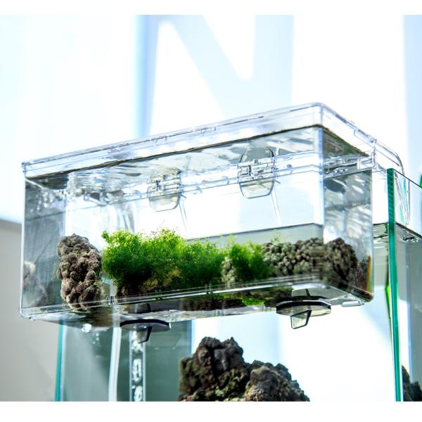 ポンさん専用 オーダーイモリウム水槽 BiOrb AIR60 「Tailor」 | JABüRO