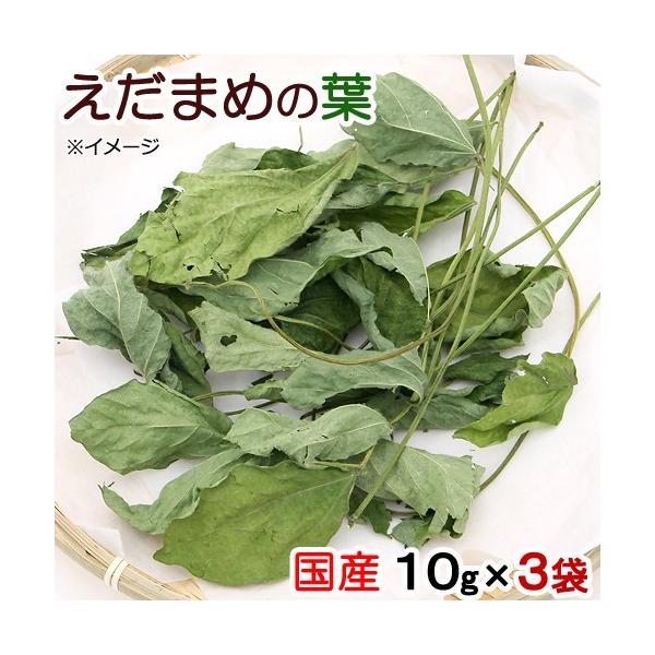 Leaf Corp 3袋セット 国産 えだまめの葉 10g×3袋 : チャーム