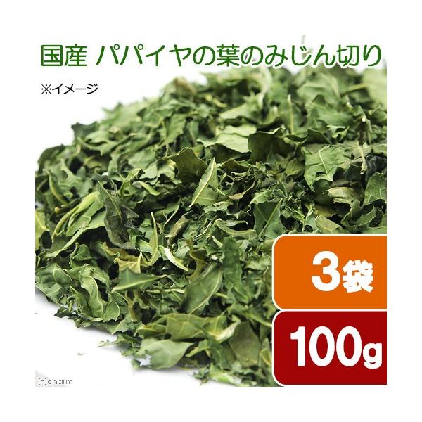 R܃Zbg@Y@ppC̗t݂̂؂@POO×R܁@p̂@@bg@ыPA@llU_