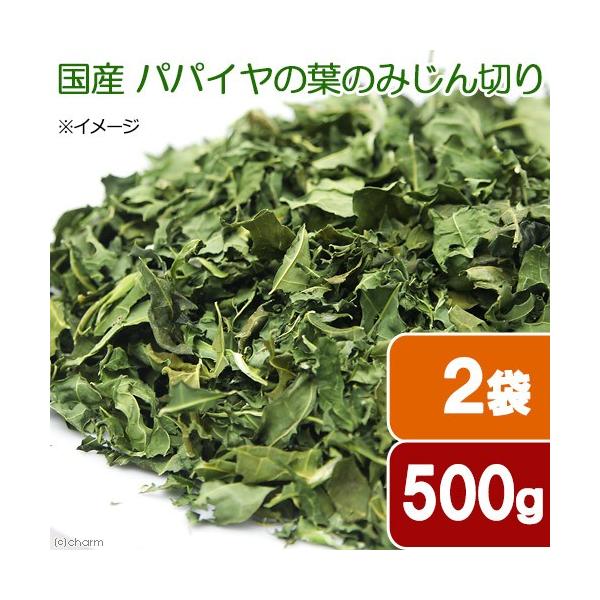 Q܃Zbg@Y@ppC̗t݂̂؂@TOO×Q܁@ppbN@p̂@@bg@ыPA