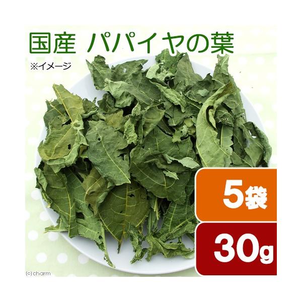 T܃Zbg@Y@ppC̗t@RO×T܁@ppbN@p̂@Y@F@@bg@ыPA@llR_