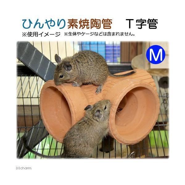 Ђfēǁ@sǁ@l@p@nEX@gl