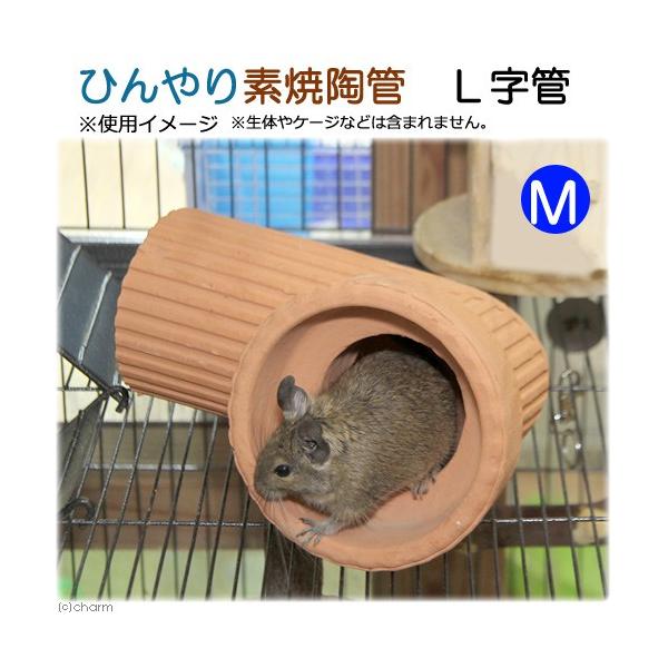 Ђfēǁ@kǁ@l@p@nEX@gl