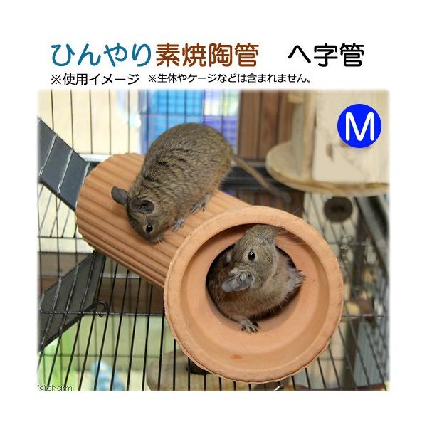 Ђfēǁ@֎ǁ@l@p@nEX@gl