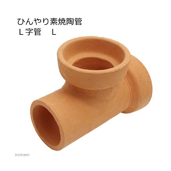 Ђfēǁ@sǁ@k@p@nEX@gl