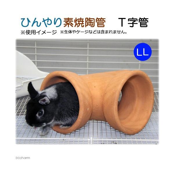 Leaf Corp ひんやり素焼陶管 T字管 LL 小動物用 ハウス