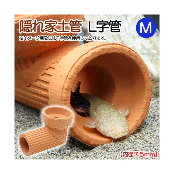 BƓyǁ@kǁ@l@aVT@^@VF^[@pIuWF@ANAEpi