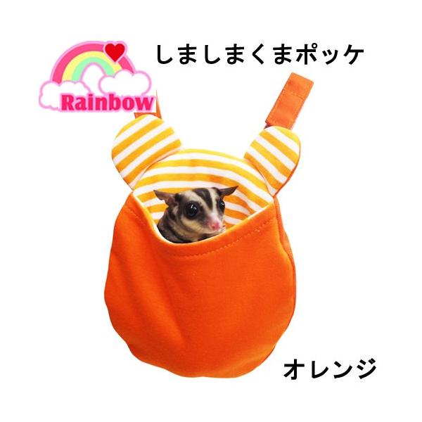 C{[@܂܂܃|bP@IW@nEX@xbh@Q܁@z