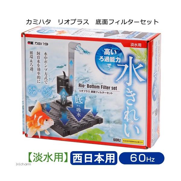 J~n^@UOg@IvX@ʃtB^[Zbg@{p