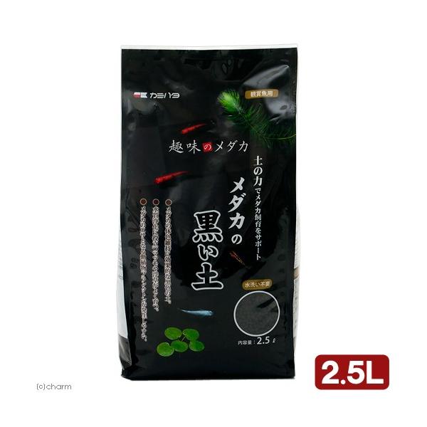 J~n^@_J̍y@QDTk@ANAE@\C