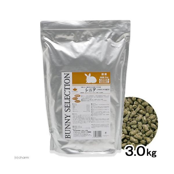 ̉a@C[X^[@oj[ZNV@VjA@RDO@@t[h@VjA