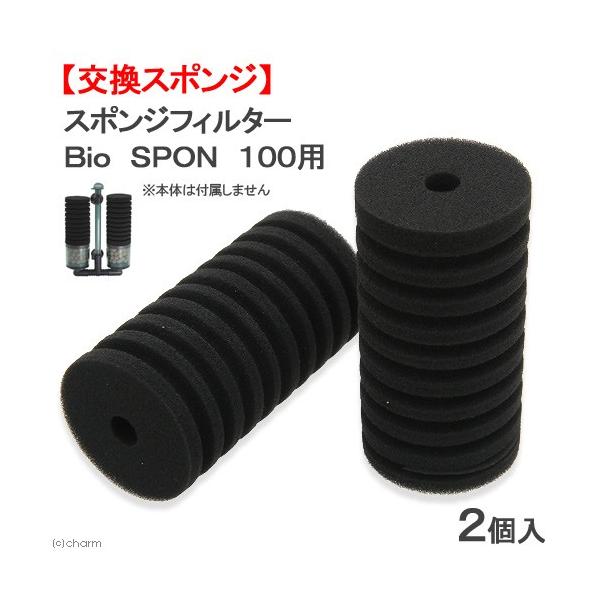 krr@X|W@X|WtB^[@a@ronm@POOp@Q