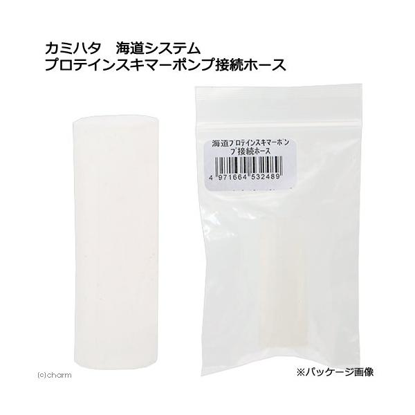 J~n^@CVXe@veCXL}[|vڑz[X