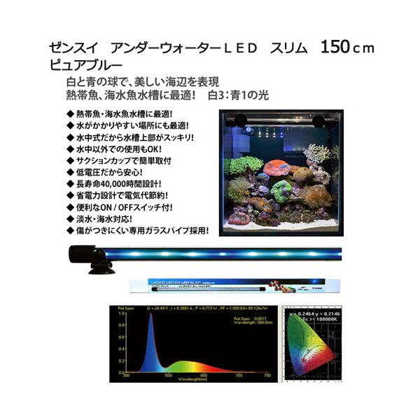 [J[@[XC@A_[EH[^[kdc@X@PTO@sAu[@s@@Cg@Ɩ