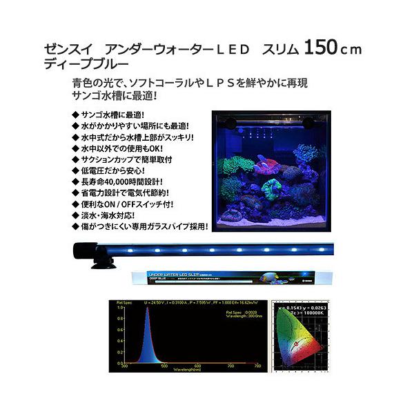 [J[@[XC@A_[EH[^[kdc@X@PTO@fB[vu[@pƖ@Cg@ANAECg@s