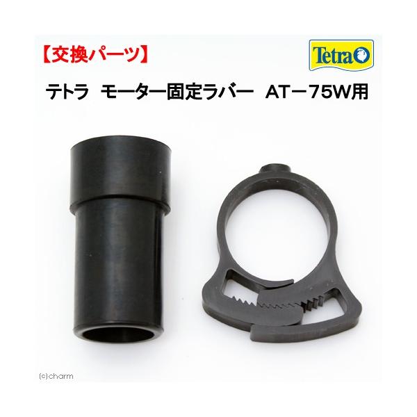 eg@[^[Œ胉o[@`s|VTvp@p[c