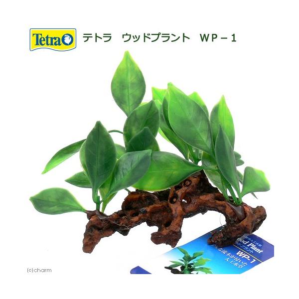 eg@Ebhvg@vo|P@lH@ANZT[@Mы@@_J