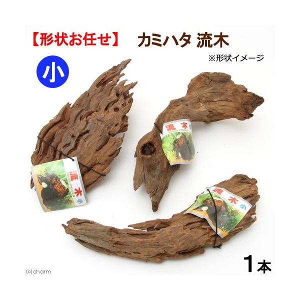 J~n^@؁@@`󂨔C@ANAE@