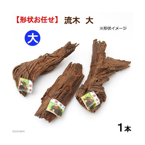 J~n^@؁@@`󂨔C@llP_@ANAE@