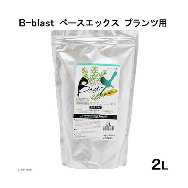 Ｂ−ｂｌａｓｔ　ベースエックス　プランツ用　２Ｌ