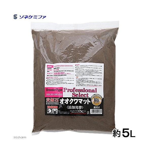 \lP~t@@Ɂ@ѐ΁@IIN}bg@Tk