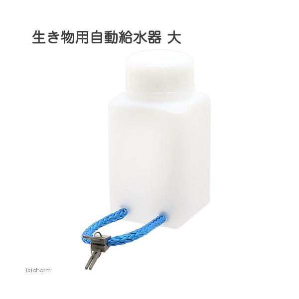 sN^@p@@঒ށ@RIM@@⋋