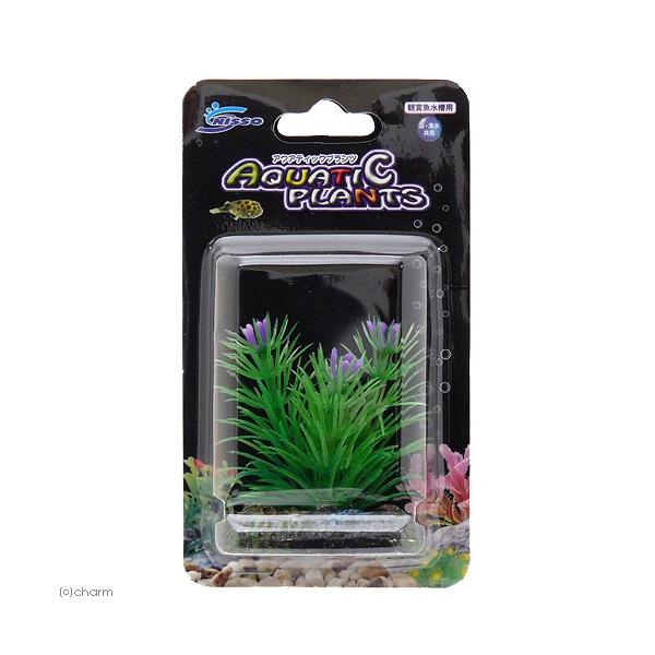 jb\[@ANAeBbNvc@rr|T@lH