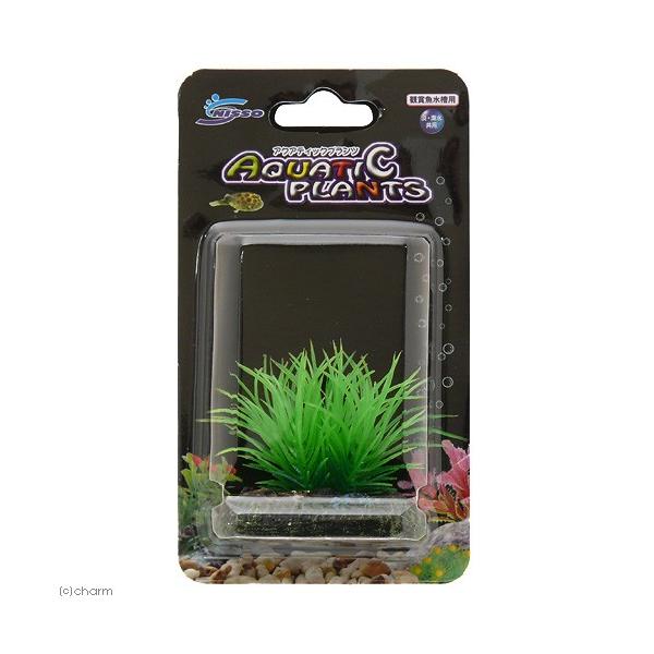 jb\[@ANAeBbNvc@rr|W@lH