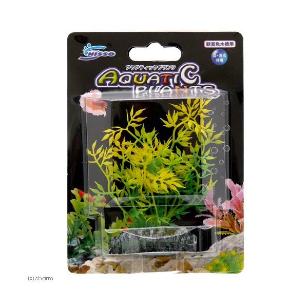 jb\[@ANAeBbNvc@r|V@lH