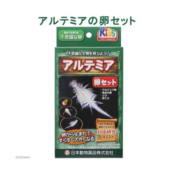 日本動物薬品 ニチドウ アルテミアの卵セット チャーム Charm Paypayモール店 通販 Paypayモール