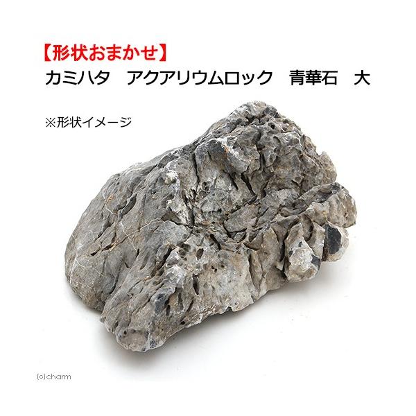 J~n^@ANAEbN@ؐ΁@@`󂨔C