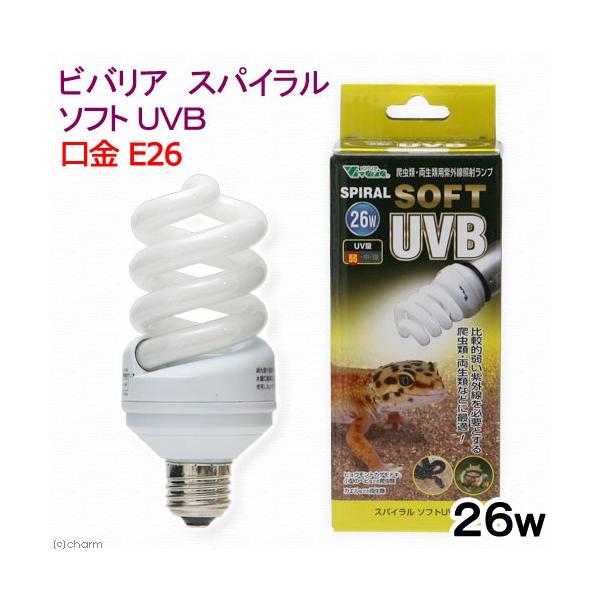 roA@XpC@\tg@tua@QUv@dQU@঒ށ@O@Cg