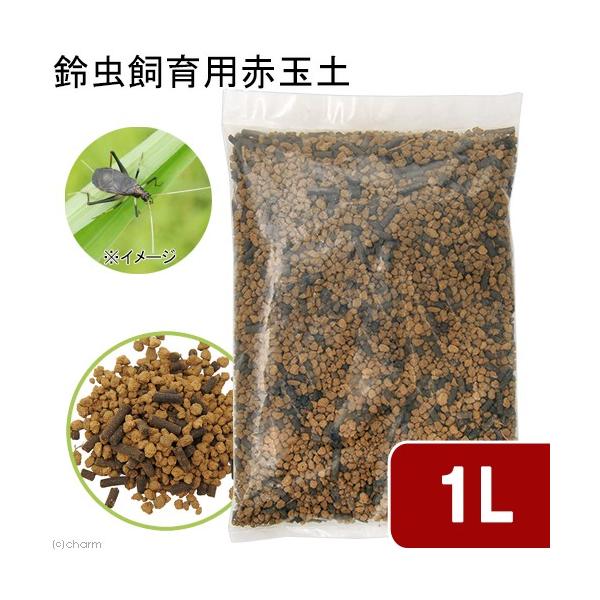 钎pԋʓyivdlj@Y^Cv@L@Pk@}bg@XYVp