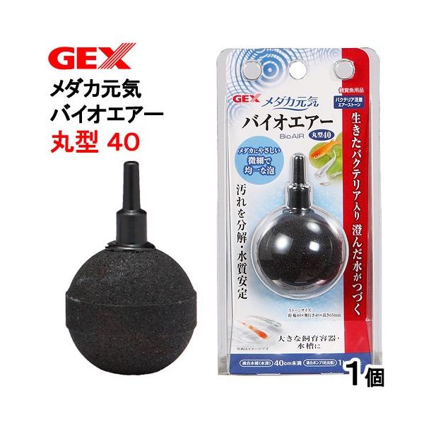 GA[Xg[@fdw@_JC@oCIGA[@ی^SO