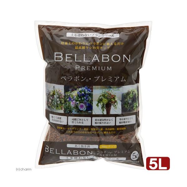 |{y@ς݁@x{Ev~A@Tk@V̎@`bv@RRV