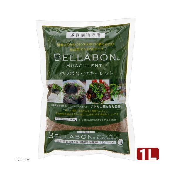 |{y@ς݁@׃{ETLg@Pk@V̎@`bv@RRV