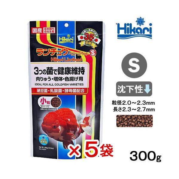 `Exr[S[hr@@ROO×T܁@̉a@llU_