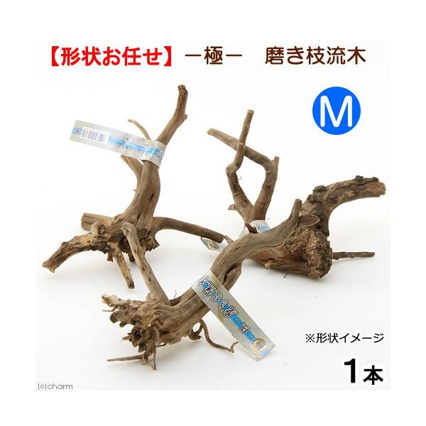 極 磨き枝流木 ｍ 形状お任せ Buyee Buyee Japanese Proxy Service Buy From Japan Bot Online