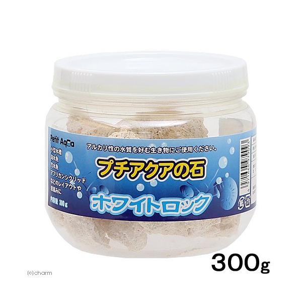 J~n^@v`ANA̐΁@zCgbN@ROO