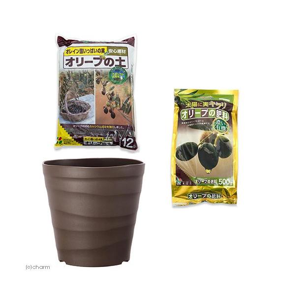 I[u͔|Zbg@Ԃ@I[u̓y{I[u̔엿{AbvEFA[@Ntg|bg@RO^@_[NuE@llT_