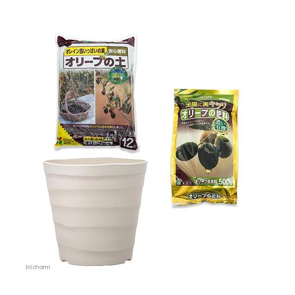 I[u͔|Zbg@Ԃ@I[u̓y{I[u̔엿{AbvEFA[@Ntg|bg@RO^@zCg@llT_