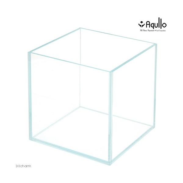 KX@ANPTL[u@X[p[NA@PT×PT×PT@ANAE@eE@x^@^@llT_