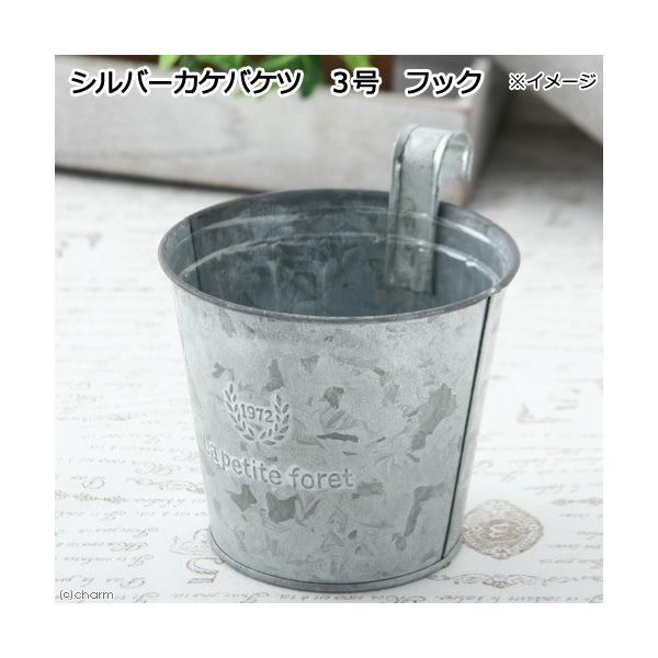 @Vo[JPoPc@R@tbN@AeB[N@Ǌ|