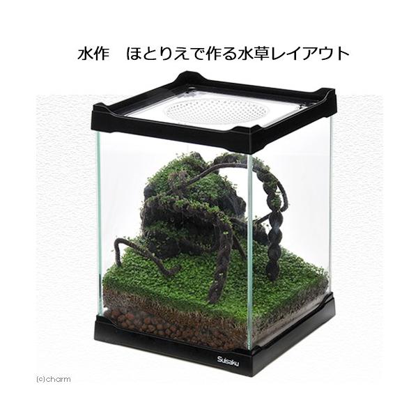 テラリウム 水槽 チャームの価格と最安値 おすすめ通販を激安で