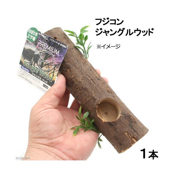 メーカー：フジコン _insect　4977097260968　フジコン　ジャングルウッド　20160724　OJIR　昆虫　のぼり木　エサ皿・のぼり木・隠れ家　大型　外産昆虫　リーフ付き　ディスプレイ　かわいい　おしゃれ　長い　ロング　ワ...